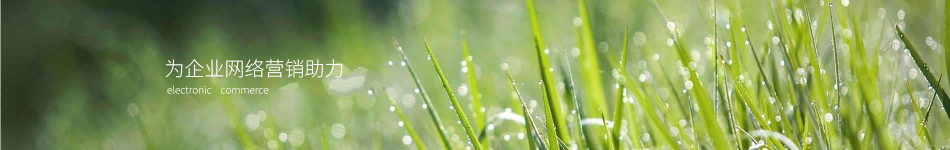 նƼ޹˾